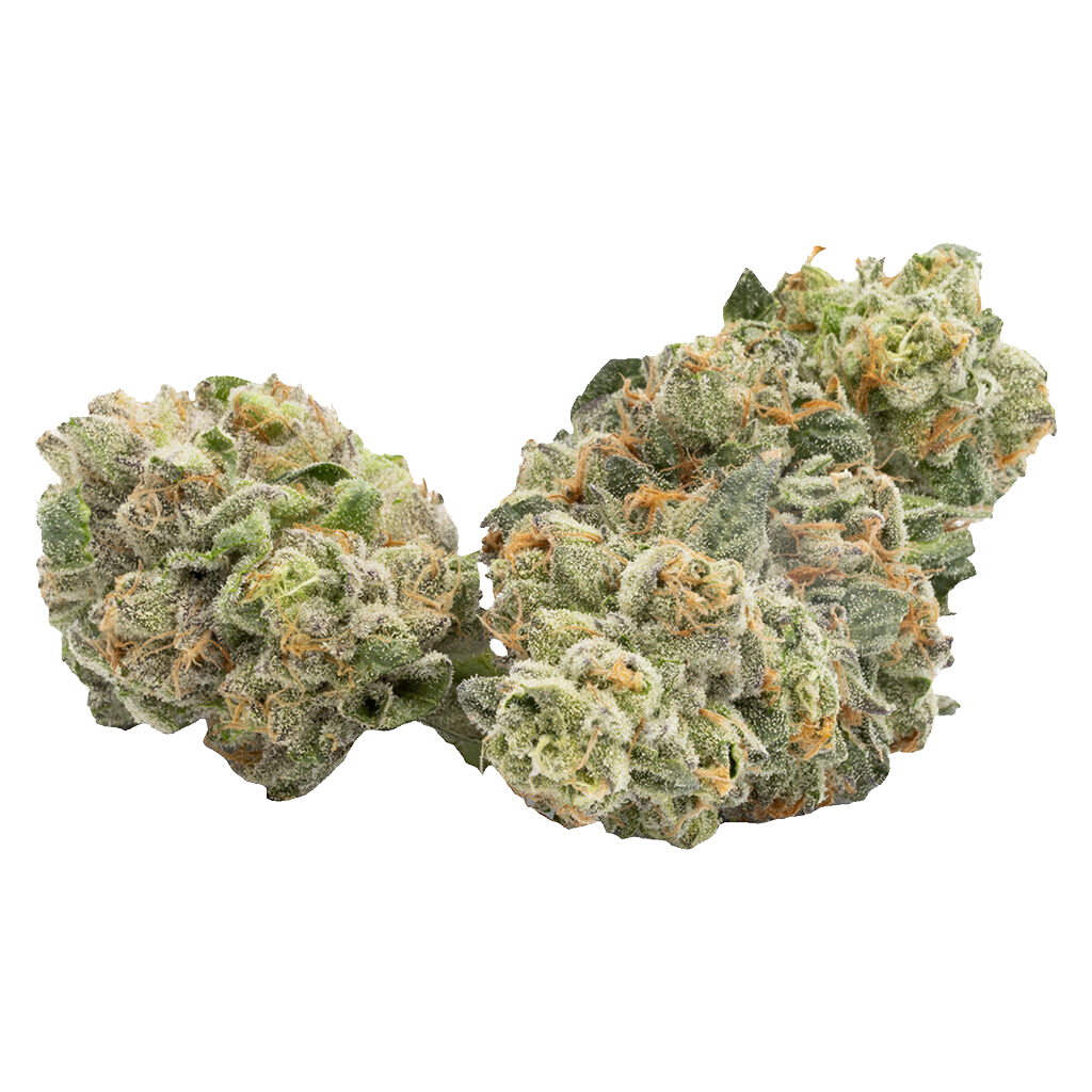 AK 47